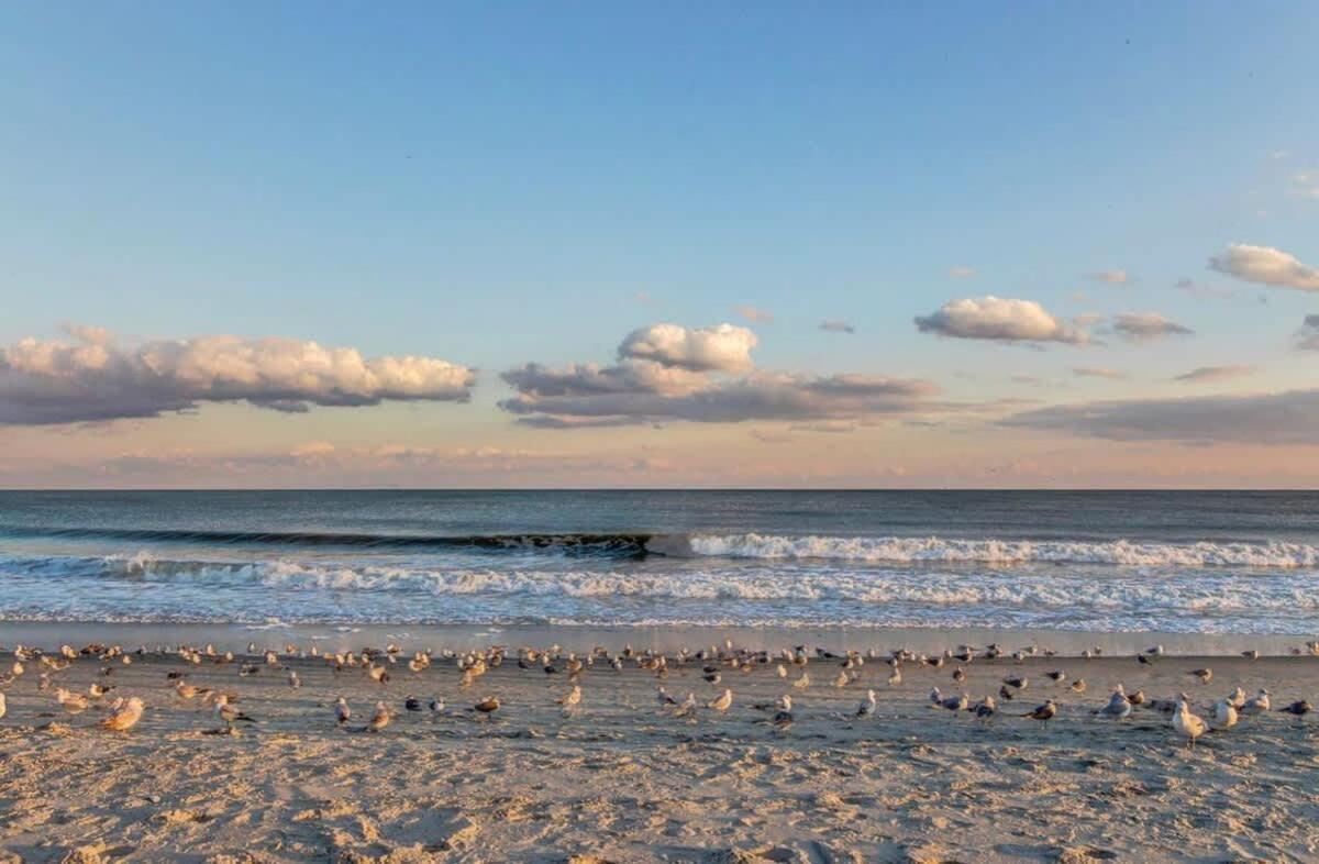 *Oceanfront Retreat*King Bed *Great Pools, Hot Tubs+++*O41 Villa Myrtle Beach Dış mekan fotoğraf